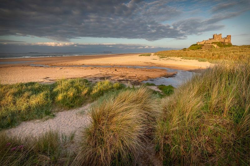 A focus-stacked coastal photo by Chris Ceaser of Bamburgh Dunes in Northumberland, England, with grasses close-up and the beach and sea stretching out into the distance.  