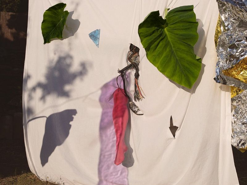 Due enormi foglie verdi e una sola gamba in collant rosa spuntano dagli strappi di un grande telo bianco.
