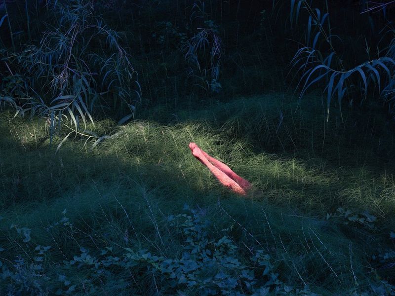 Gambe di donna in collant rosa spuntano dal sottobosco.