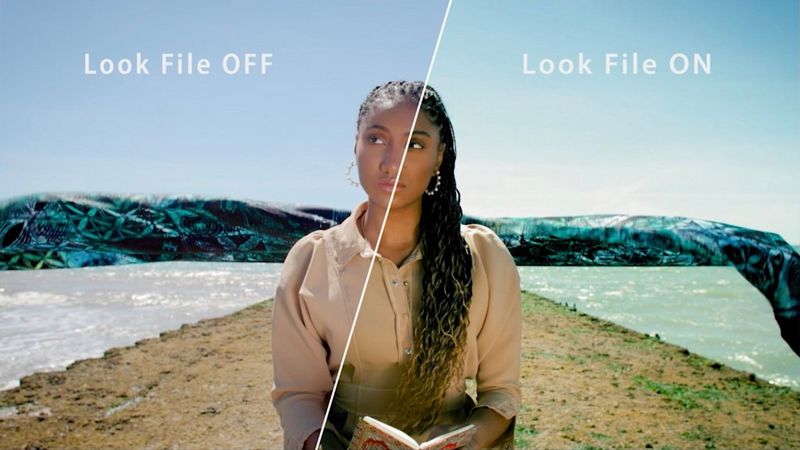 An image of a woman holding a book in front of water, split down the middle to show the effect of applying a 3D LUT to the image's colour. 