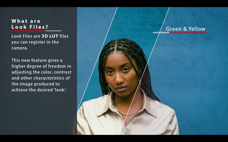 An explanation of Look Files beside an image of a woman in front of a wall with a diagonal strip running through it, within which the photo has been recoloured by a 3D LUT. 