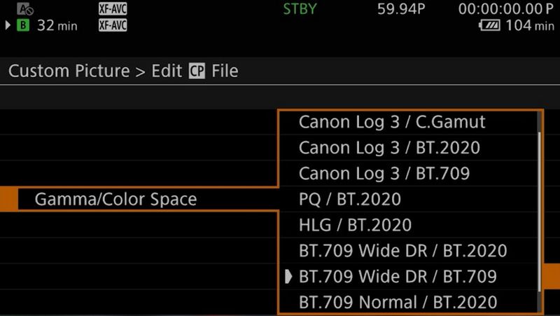 A screen showing Gamma/Color Space choices within the Custom Picture menu.