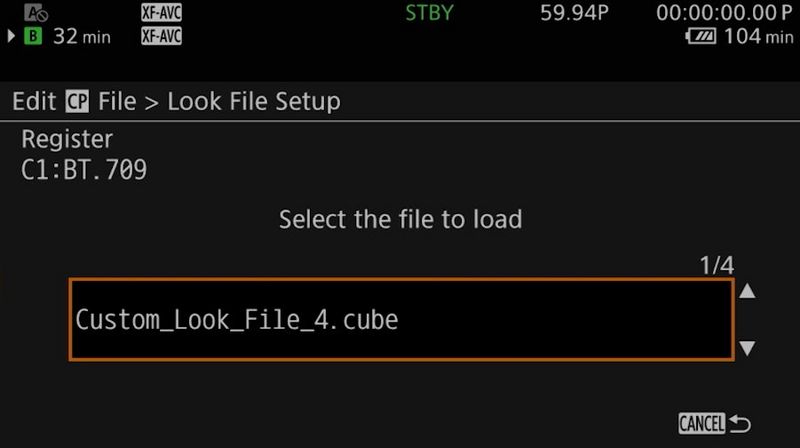 A 3D LUT (.cube) file being registered as a Look File within the Custom Picture menu.