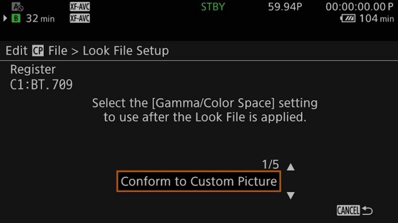Conform to Custom Picture being selected from the Gamma/Color Space setting within the Custom Picture menu.