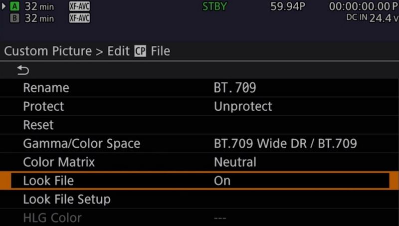 The Custom Picture menu, indicating that the Look File function is on. 