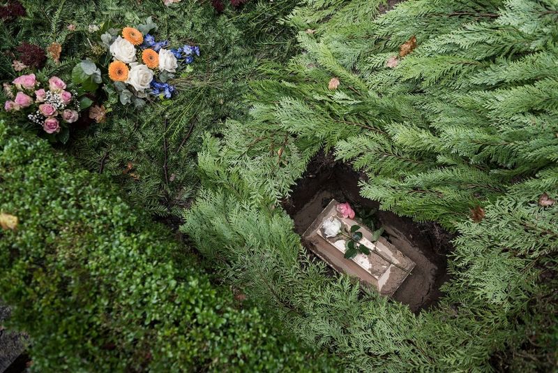Детский гроб в могиле в окружении листвы и цветов.