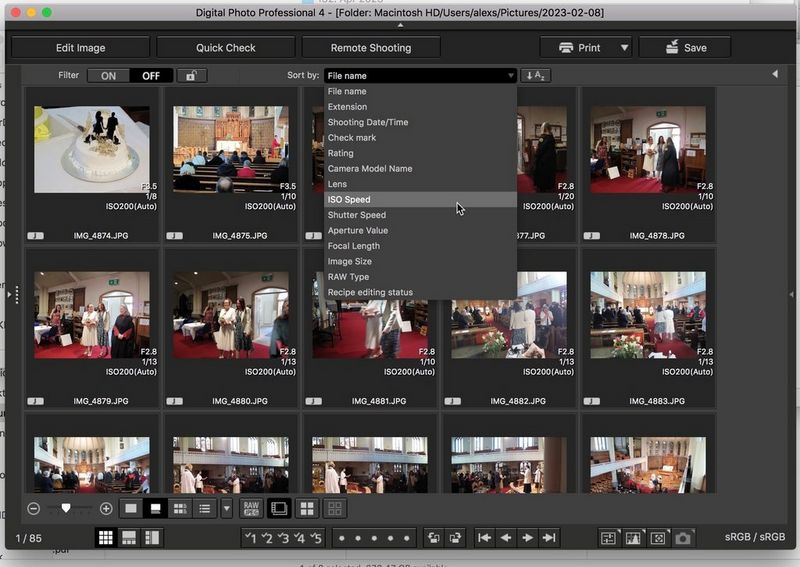 Снимок экрана Digital Photo Professional 4, на котором показано меню опций сортировки с выбранным параметром ISO.