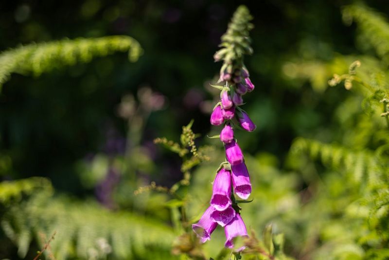 Основная информация о диафрагме и экспозиции