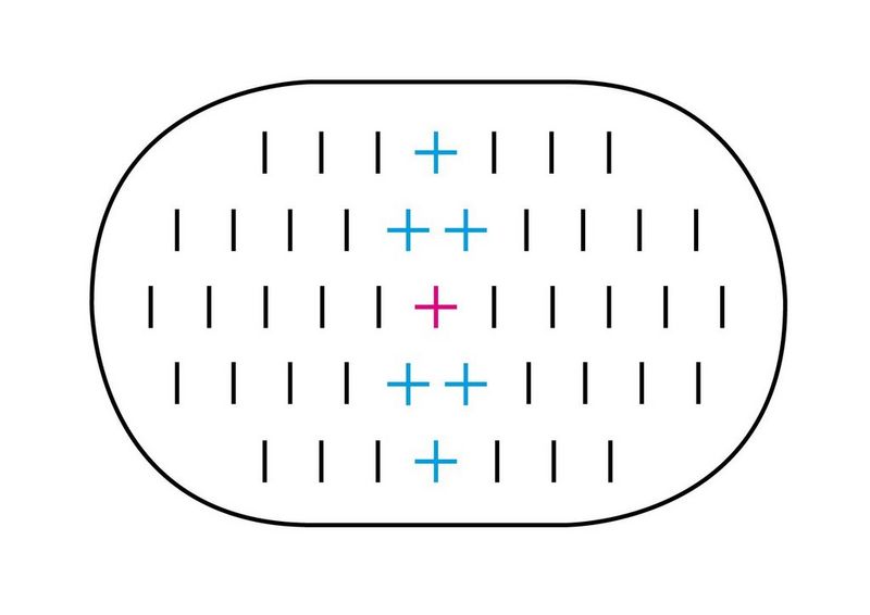 Схема датчика с 45 точками автофокусировки различных цветов в зависимости от того, с какими объективами они работают.