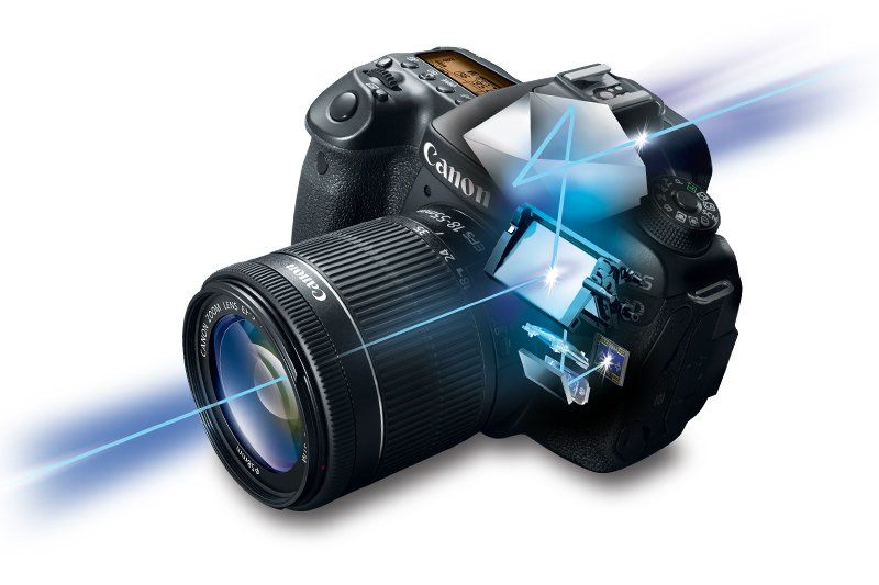 A cutaway diagram of the light path in a DSLR, with light entering the lens and being reflected up to the viewfinder and also down to the camera's autofocus module.