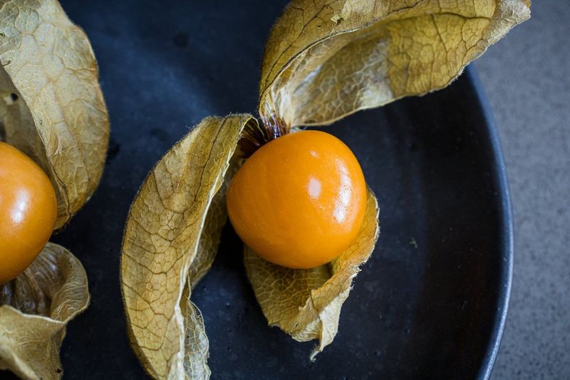 A physalis fruit photographed on a plate.