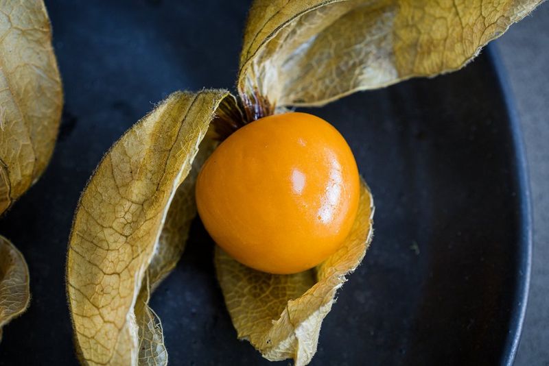 A closer view of a physalis fruit on a plate.