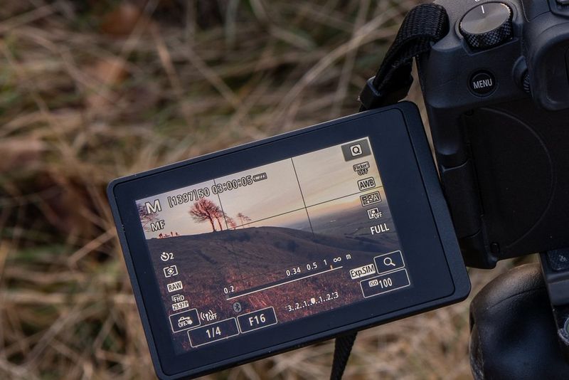 The rear screen of an EOS RP showing a landscape with 3x3 grid and Manual Focus Peaking displaying a red outline around parts of the scene.