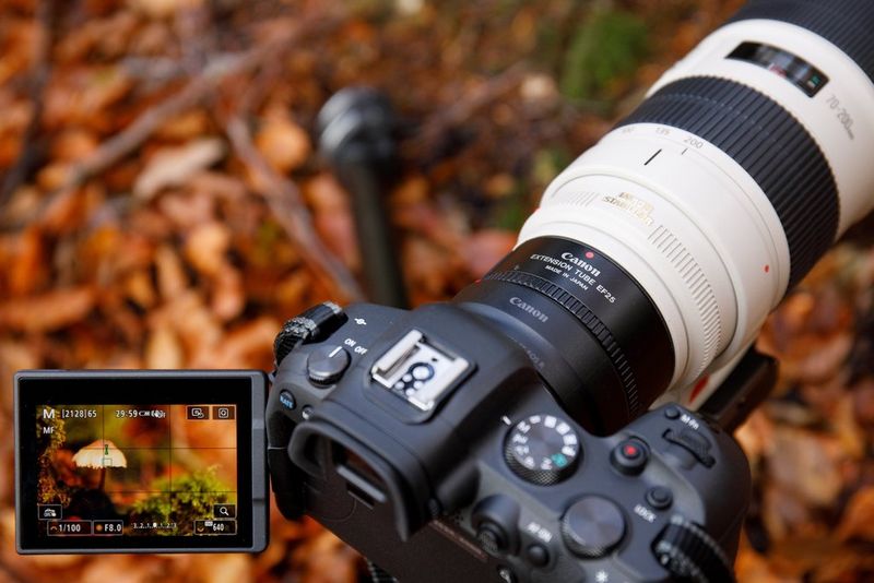 Canon EF 70-200mm f/4L と EXTENDER EF 2X Canon EF Extender 2X III Review