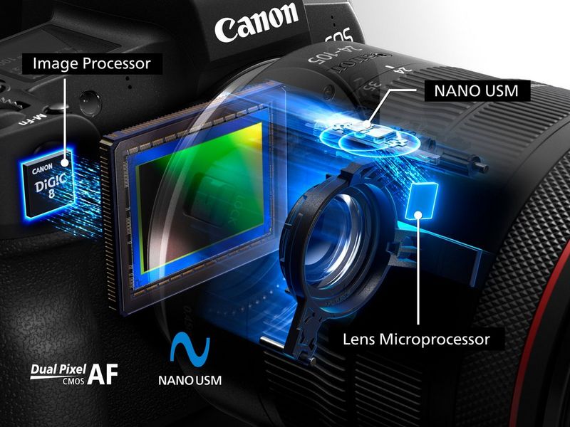 Diagramma raffigurante il microprocessore e il motore Nano USM nell'obiettivo Canon RF 24-105mm F4 L IS USM, così come il sensore e il processore di immagini in una fotocamera del sistema Canon EOS R.
