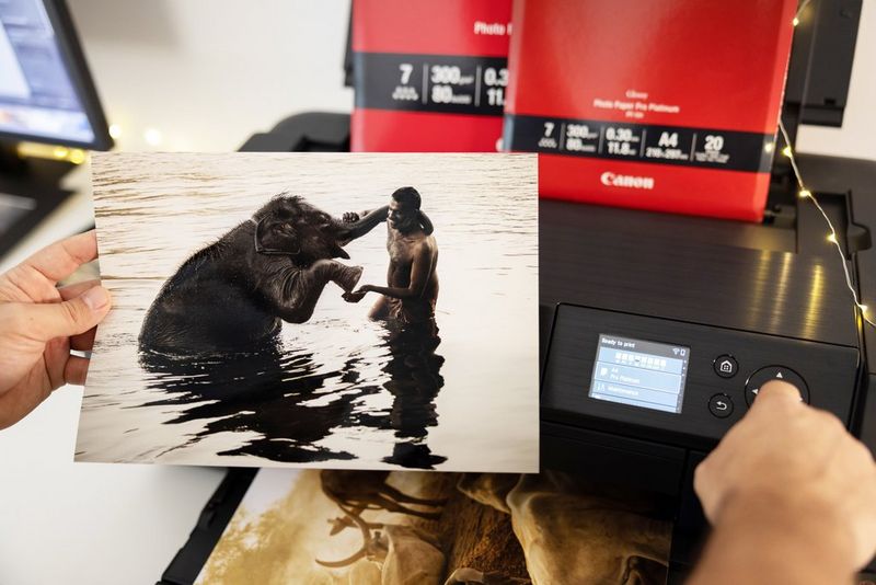 A print of a man and an elephant is held against a Canon printer, with red packages of Canon printer paper on top.