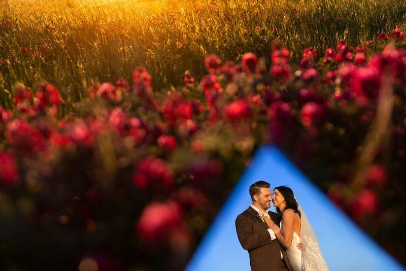 A bride and groom against a blue sky, reflected in the corner of a mirror positioned in front of a field of flowers bathed in warm light.