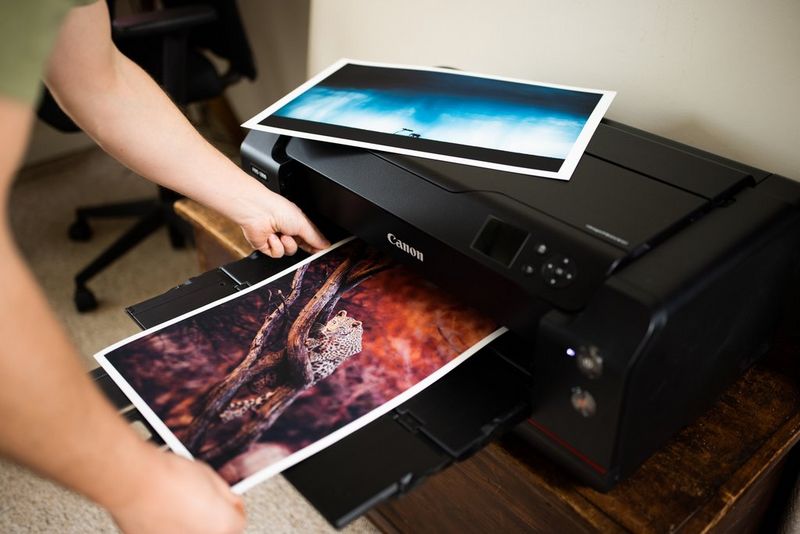A pair of hands take a large-scale print of a leopard in a tree from the tray of a Canon imagePROGRAF PRO-1000 printer, a second print placed on top of the printer.