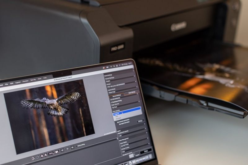 An open laptop sits in front of a large Canon printer, its screen showing the Professional Print & Layout program with an image of an owl in flight.