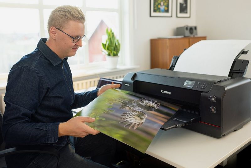 A man lifts a large edge-to-edge print of an owl from a Canon printer, while sat at his desk.