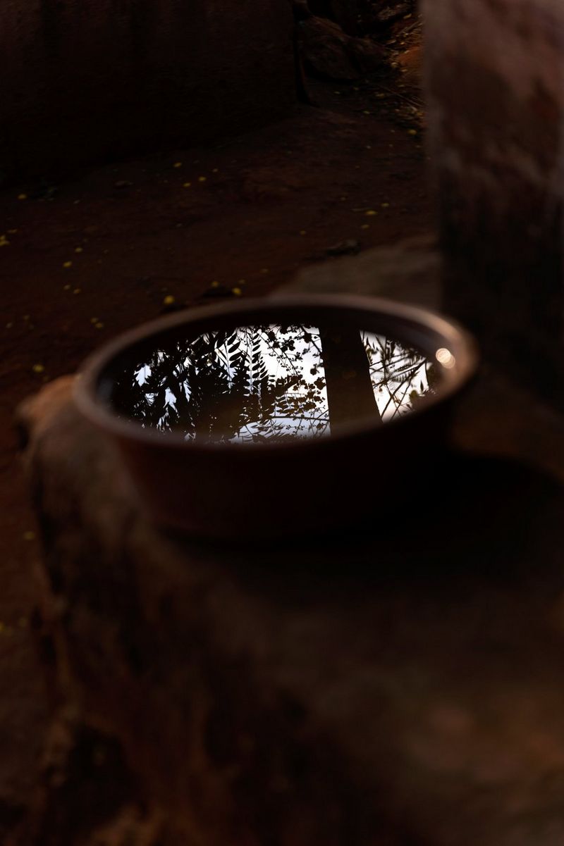 The reflection of trees is visible in a water bucket, shot on a Canon EOS R5 by Laura El-Tantawy for her series Carrying Life: Motherhood and Water in Malawi.