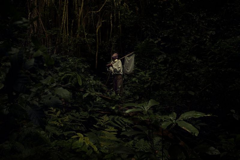 A man is lit by spotlight-like lighting in a dark jungle, carrying a bindle, looking up towards the canopy.