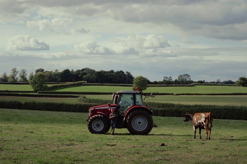 Как создавался минималистичный документальный фильм, победивший в конкурсе