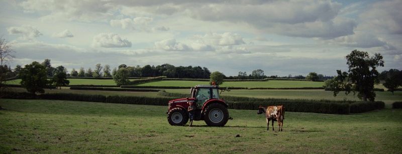 A man leans back against a red tractor in the middle of a field, while a brown and white cow stands slightly to the side, in a still from Daniel Simpkins' short Farm Life.