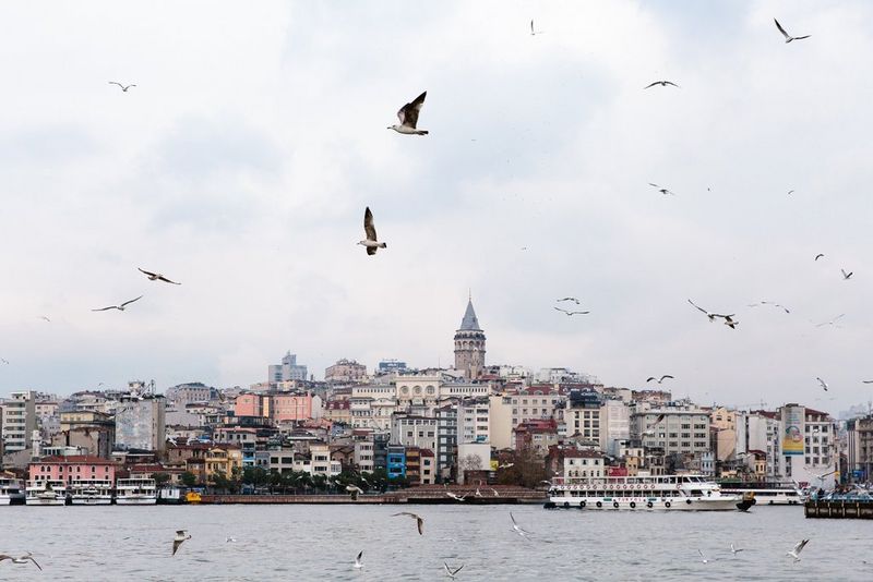 Meeuwen zweven rond in cirkels boven een kleurrijke zeehaven.