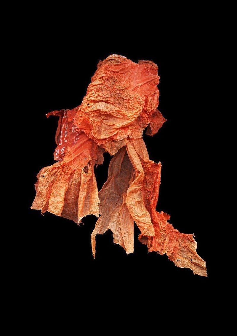 A degraded orange carrier bag, looking like a jellyfish or squid, pictured against a black background.