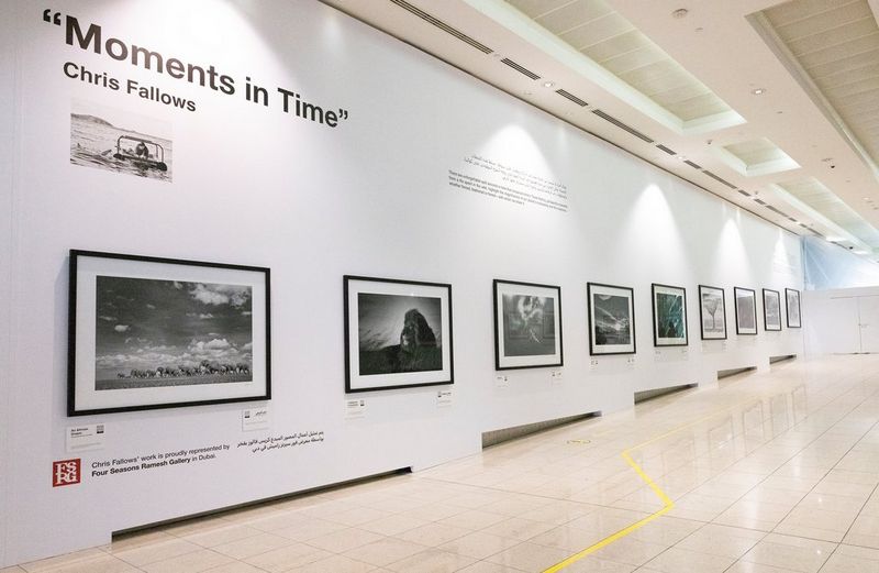 Una lunga parete dell'aeroporto di Dubai ospita una serie di gigantografie con le immagini di Chris Fallows.