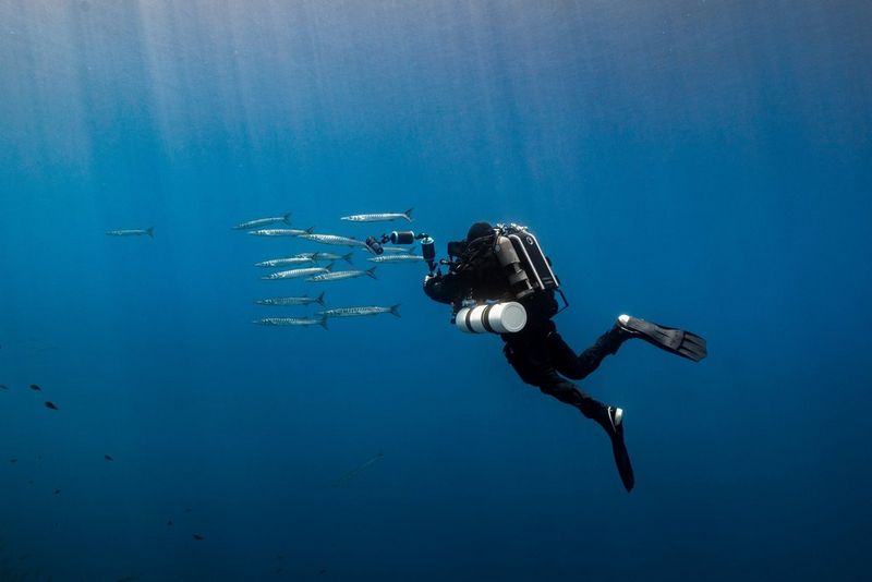 Il videomaker subacqueo Nicolai Deutsch tiene in mano una fotocamera subacquea e filma un piccolo banco di pesci mentre la luce filtra nelle acque altrimenti vuote attorno a loro.