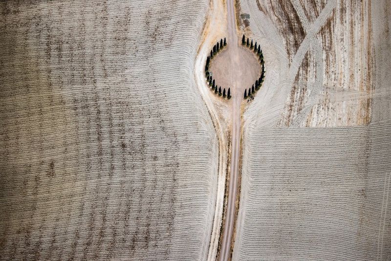 An aerial photograph of a road running through a ring of Italian cypress trees, with ploughed fields on both sides. 