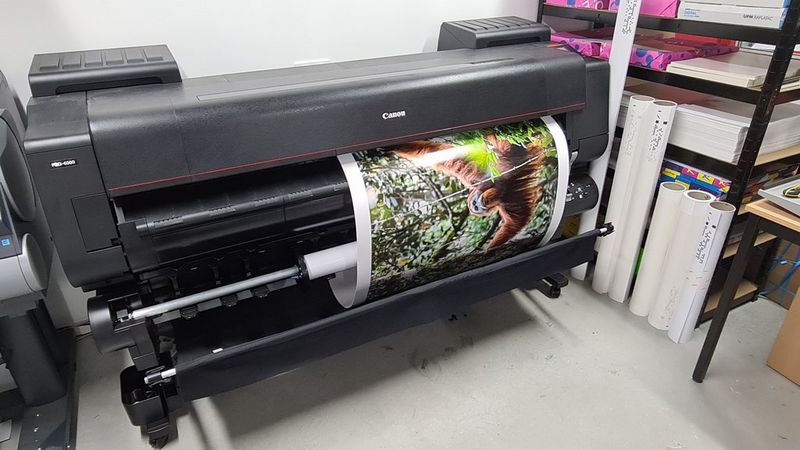 Una grossa stampante Canon da cui sta uscendo una stampa di grande formato della fotografia di un orango scattata da Maxime Aliaga. Sullo sfondo si vedono rotoli di carta e scaffali.