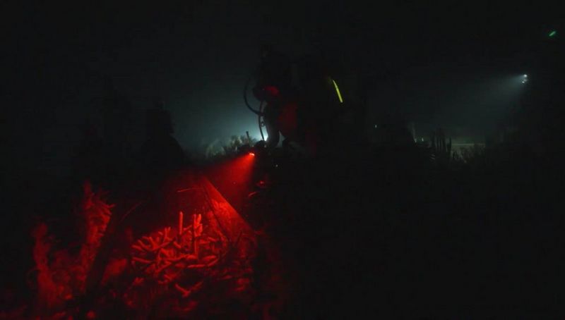 A coral reef at night, illuminated only by the red beam of light emanating from a diver's torch. 