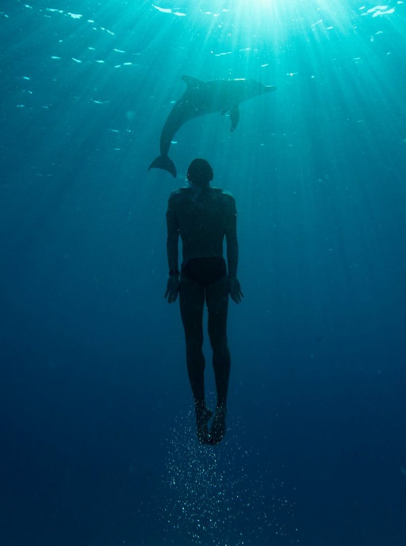 Leaving bubbles in his wake, a freediver ascends towards the surface, with the silhouette of a dolphin visible in the beams of light shining from above. 