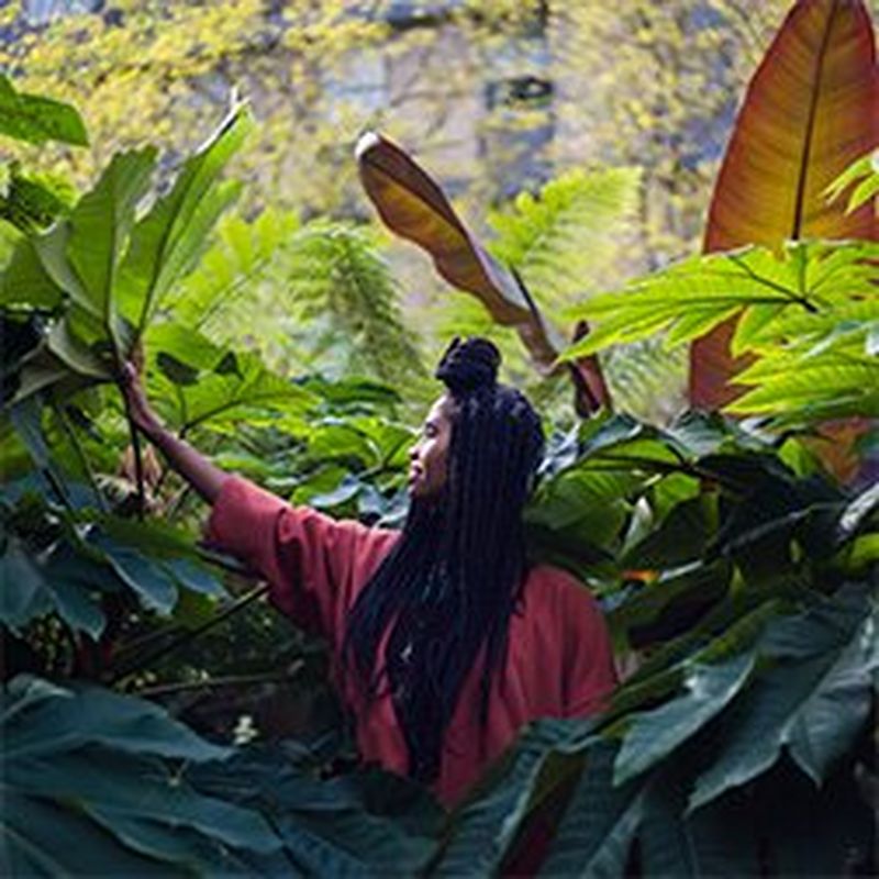 Vocalist and songwriter Desta Haile in side profile, surrounded by foliage.