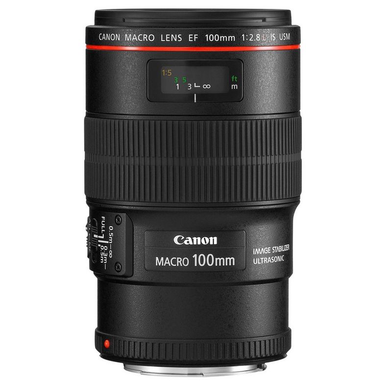 A Canon EF 100mm f/2.8L Macro IS USM lens.