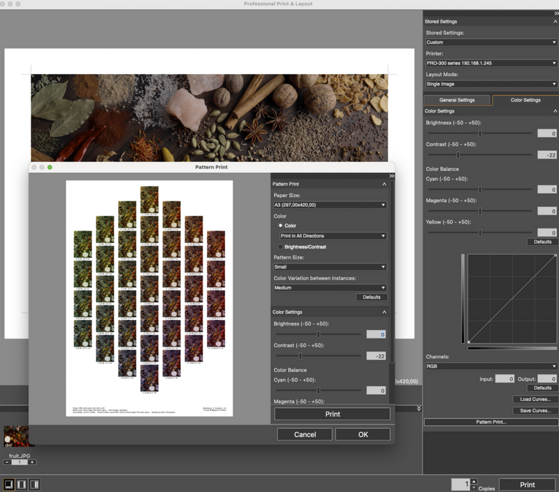 A screenshot of Canon Professional Print & Layout software's 'pattern print' option.