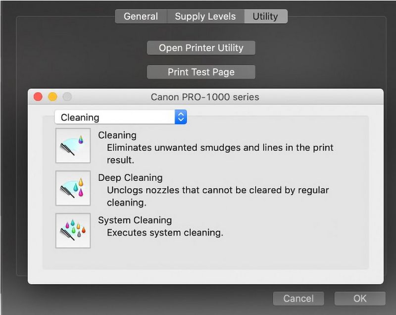 A screenshot showing the different cleaning options for the Canon imagePROGRAF PRO-1000.