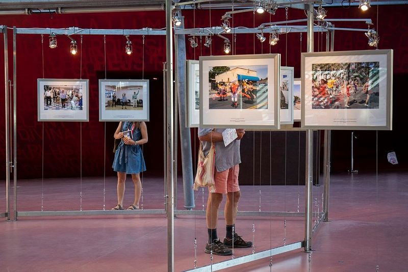 An exhibition space with framed photo prints suspended at eye level in free-standing panels with lights fixed above.