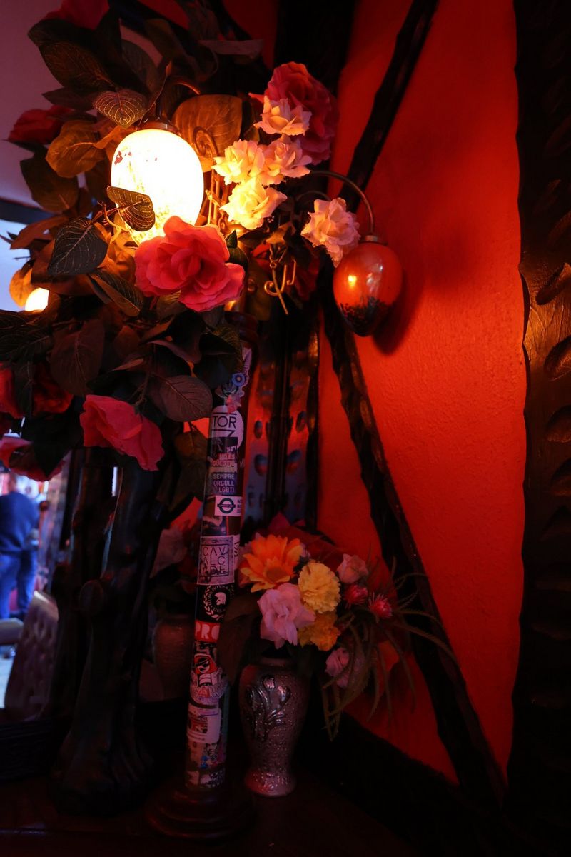 Dei fiori esposti a lato di una porta.