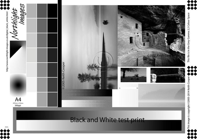 A black and white photographic test print.