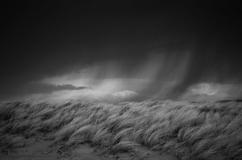 Uno scatto in bianco e nero della pioggia scrosciante sopra una duna di sabbia erbosa sull'isola di Islay, in Scozia.