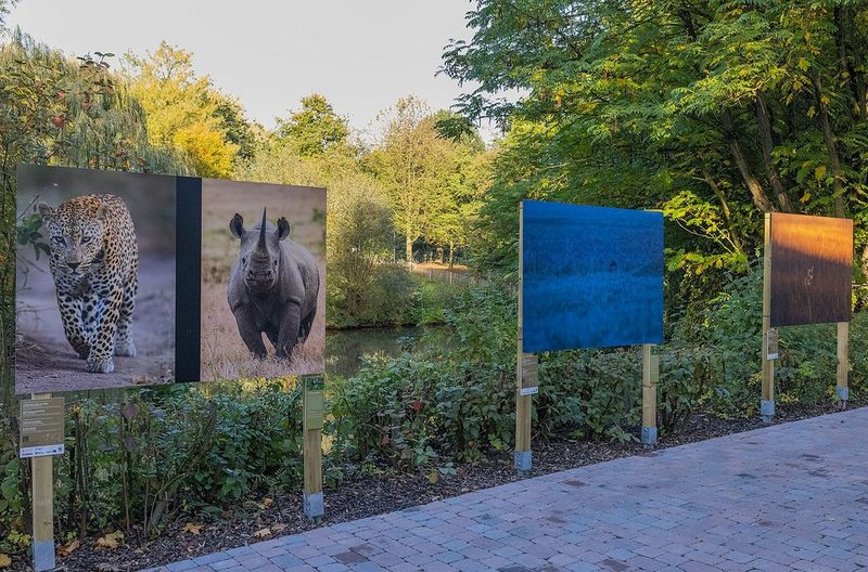 Stampe naturalistiche di grande formato esposte nel contesto verdeggiante di uno zoo tedesco.