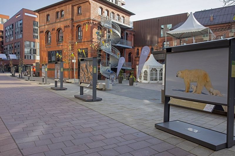 Stampe naturalistiche di grande formato esposte all'esterno di un edificio commerciale di Amburgo.