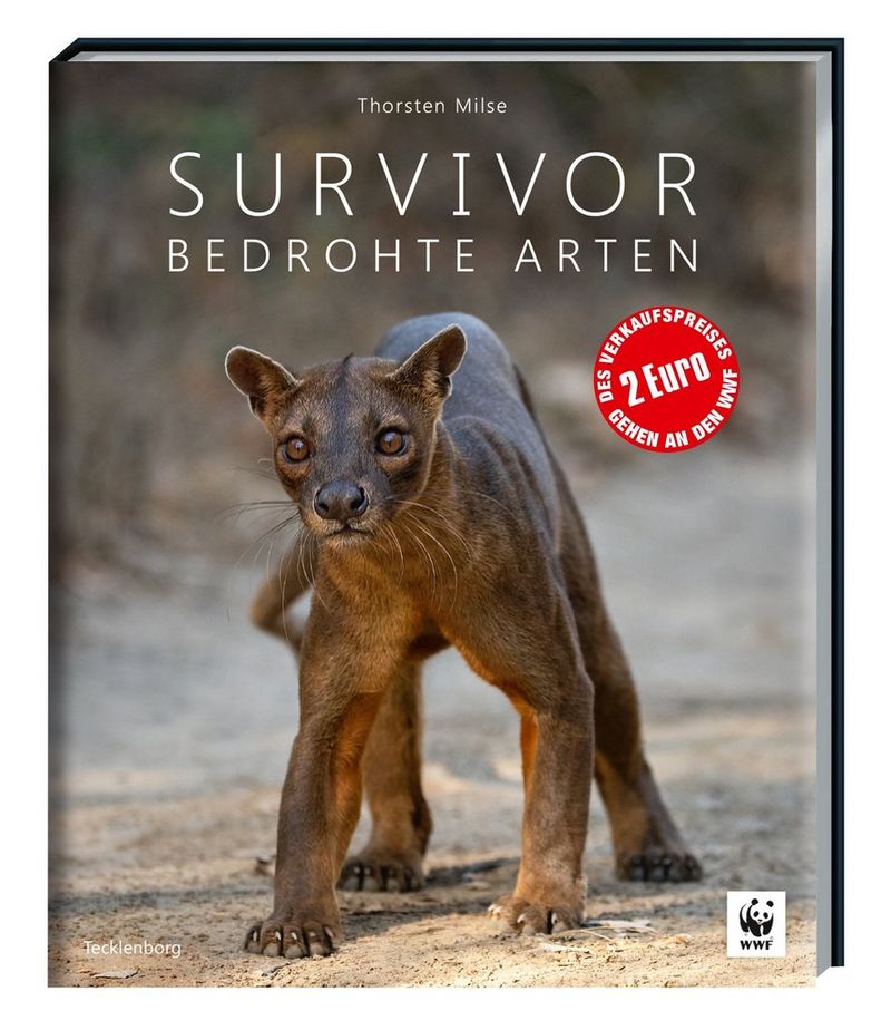 La copertina del libro Survivor, con la fotografia di un gatto selvatico.