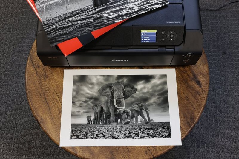 A black and white photograph of a herd of elephants walking towards the camera, with a large female at the front, sits on a circular wooden table in front of a Canon printer.