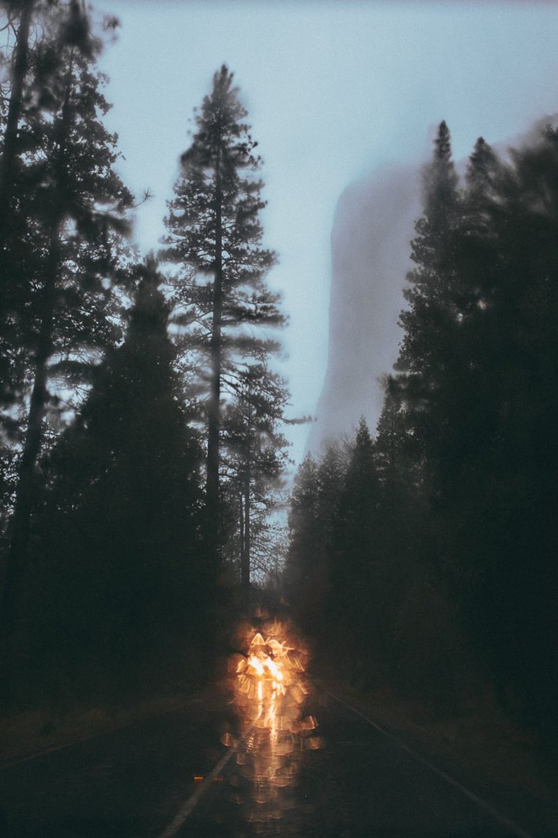 De koplampen van een auto zijn wazig te zien in het midden van een natte en mistige weg, omringd door hoge bomen.