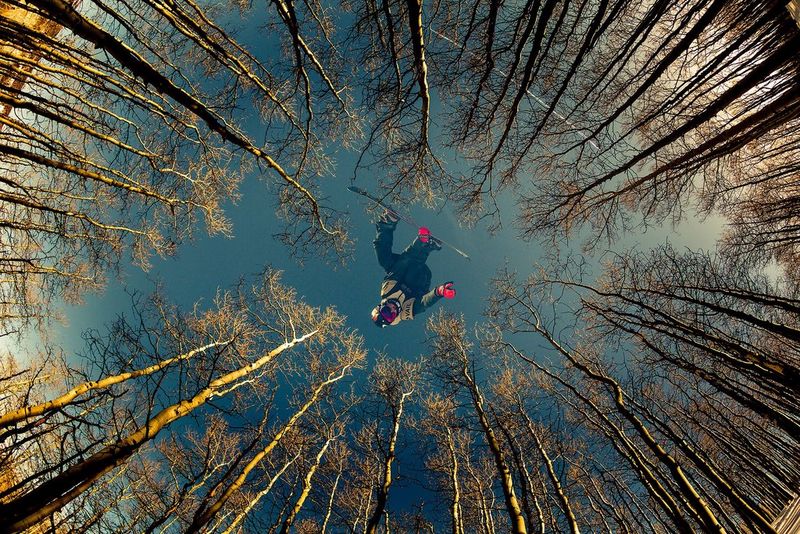 Een dubbel belicht beeld van een snowboarder in de lucht in het midden van een cirkel bomen, gemaakt van onderaf.
